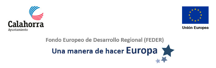 Fondo Europeo de Desarrollo Regional (FEDER)